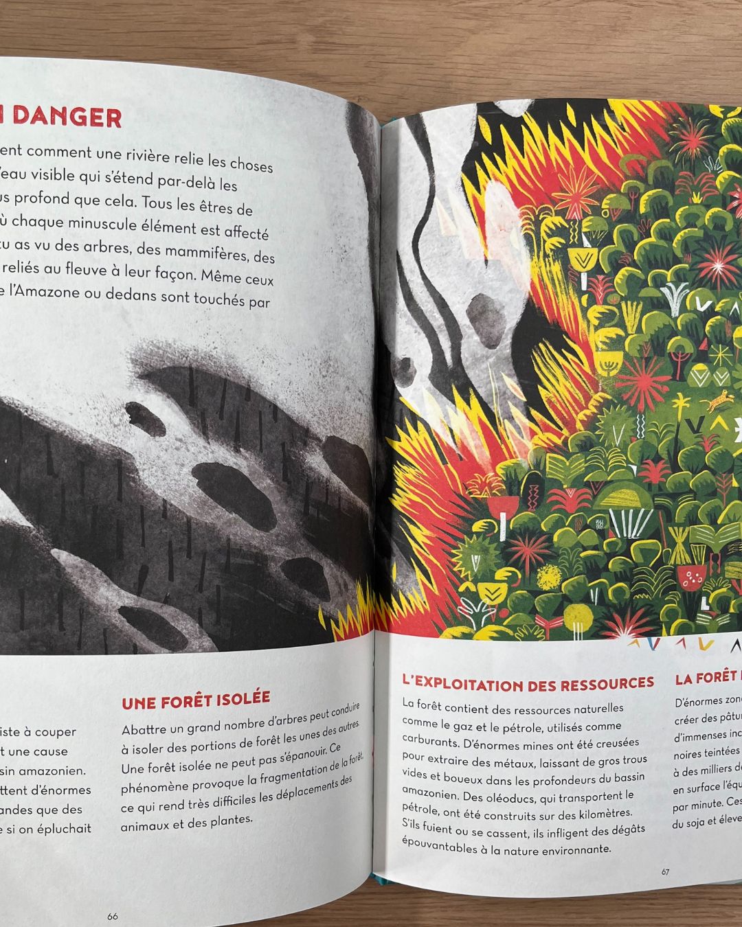 Amazonie - Enfant dès 9 ans Livres La family shop