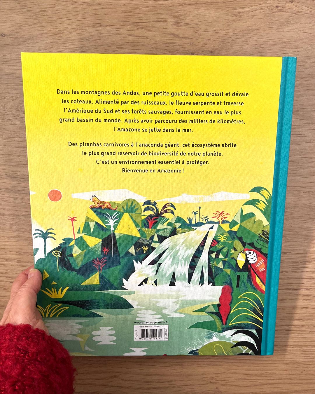 Amazonie - Enfant dès 9 ans Livres La family shop