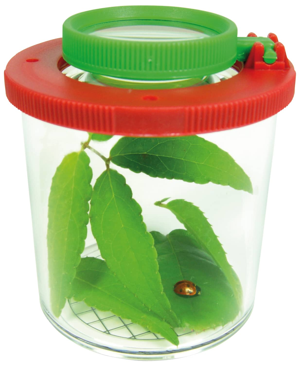 Boite-loupe pour observer les insectes Jeux & loisirs créatifs Opitec 105571