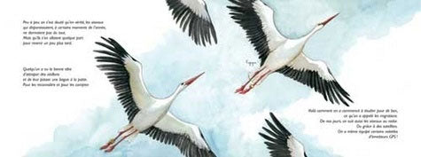 A Vol d'Oiseau, la Migration des Oiseaux Livres La family shop