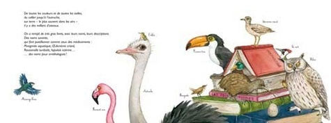 A Vol d'Oiseau, la Migration des Oiseaux Livres La family shop