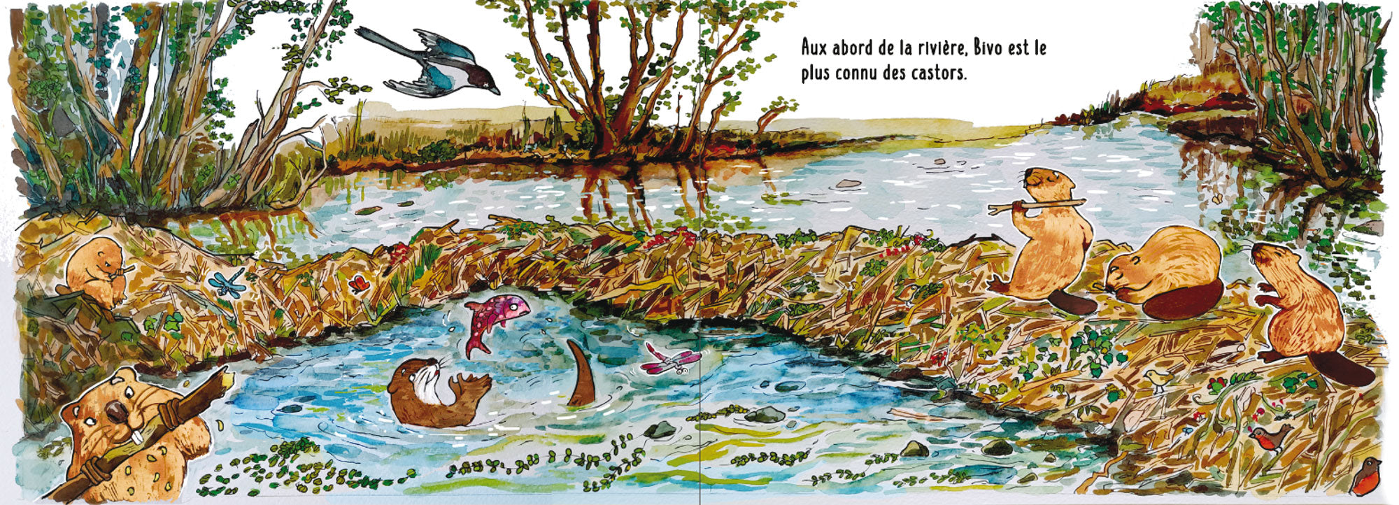 Bivo ne veut pas se brosser les dents Livres Dilisco