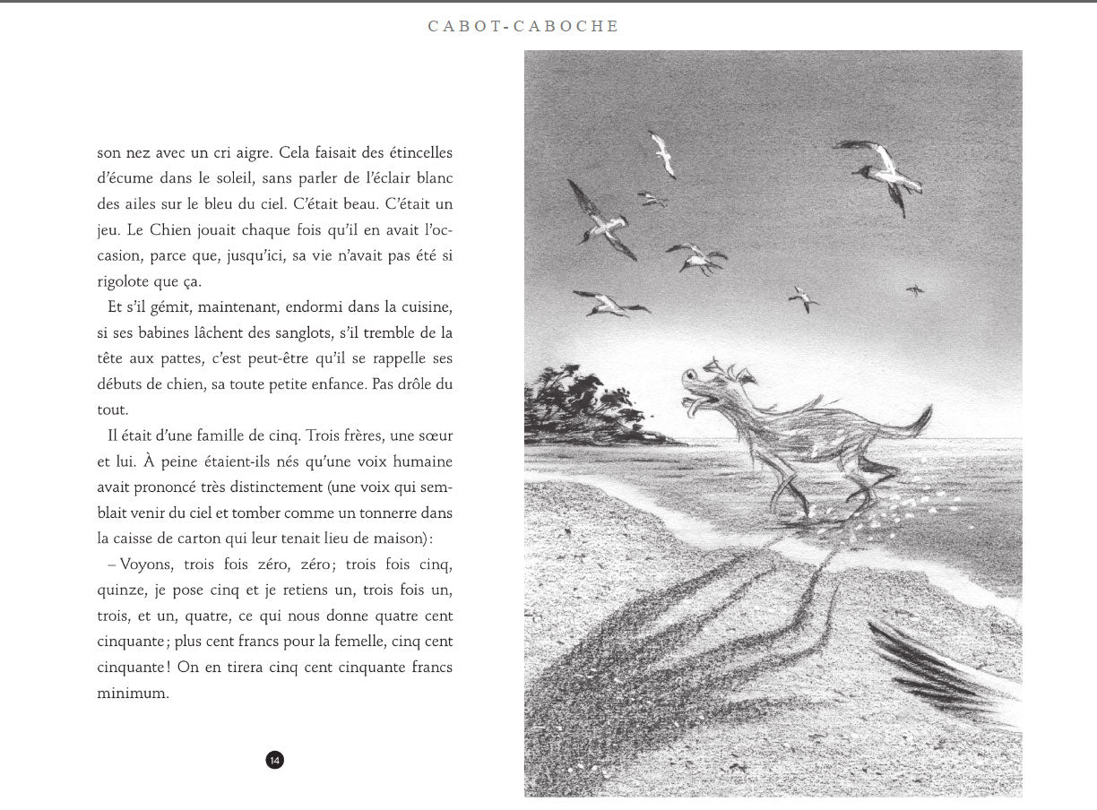 Cabot-Caboche - Roman enfant 8 ans Livres La family shop