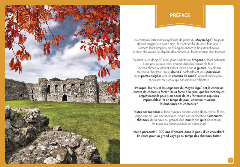 Coffret: à la découverte des châteaux-forts Jeux & loisirs créatifs La family shop