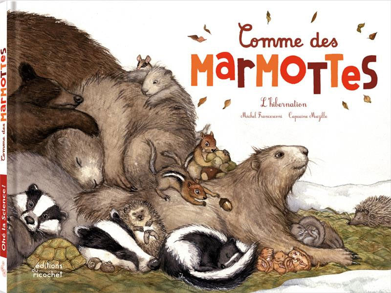 Comme des marmottes / l'hibernation Livres OLF