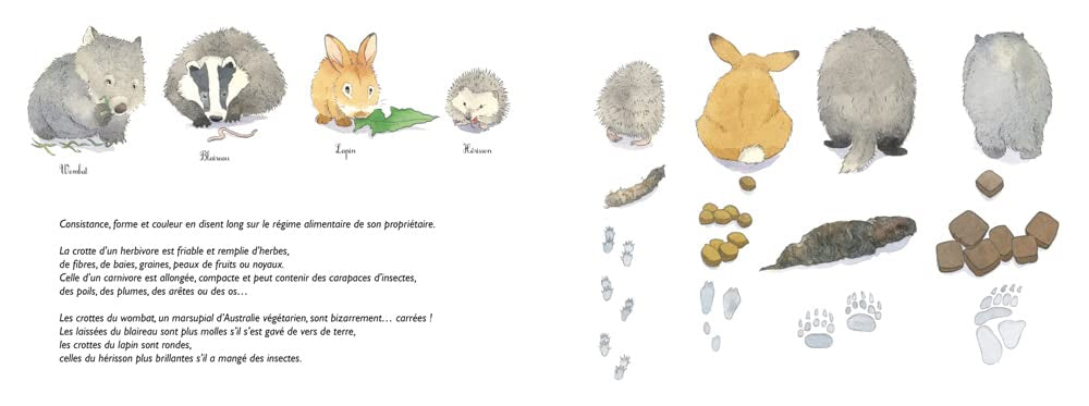 Crottes de bêtes ! - album Livres La family shop