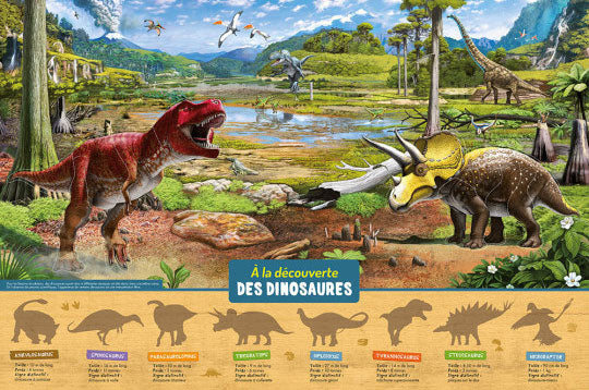 Coffret Je découvre les dinosaures! Jeux & loisirs créatifs La family shop