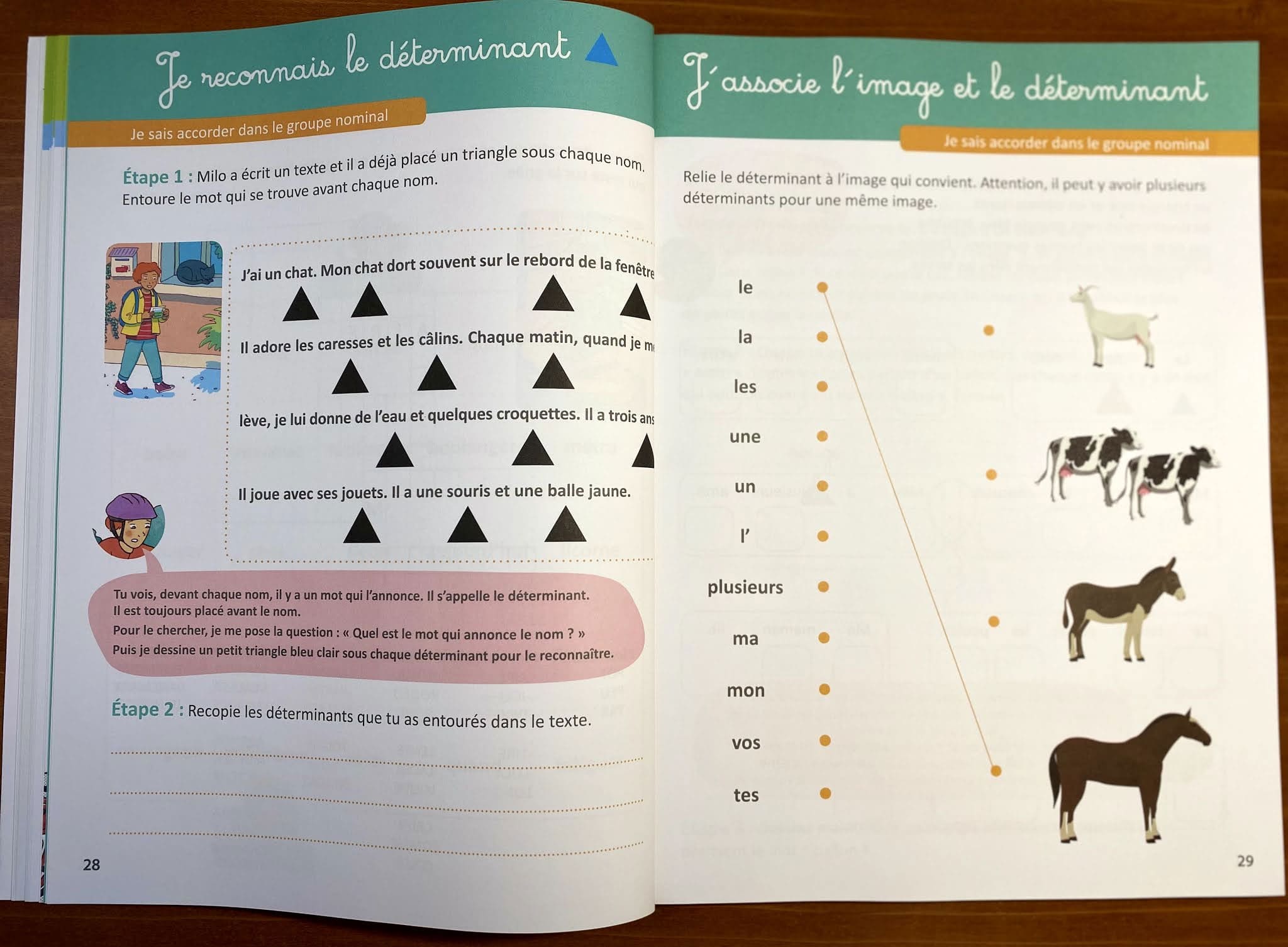 Mon grand cahier Montessori pour écrire sans fautes. 4ème à 7ème harmos Montessori & Steiner OLF