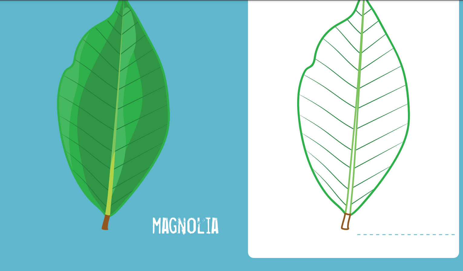 Je colorie les feuilles des arbres - Cahier de coloriage dès 3 ans Cahiers de jeux OLF