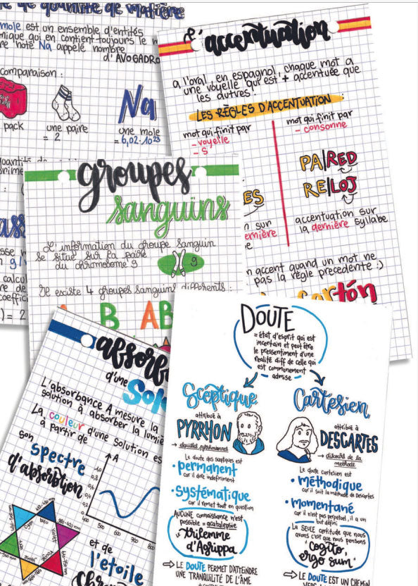 Tests, ECR et examens: Crée des fiches de révision Appuis scolaires olf