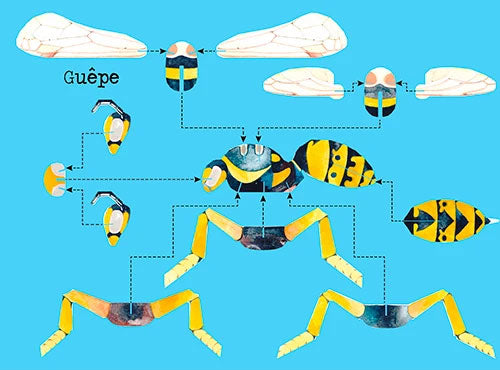 Construis en 3D - Insectes - âge minimum 3 ans Jeux & loisirs créatifs La family shop