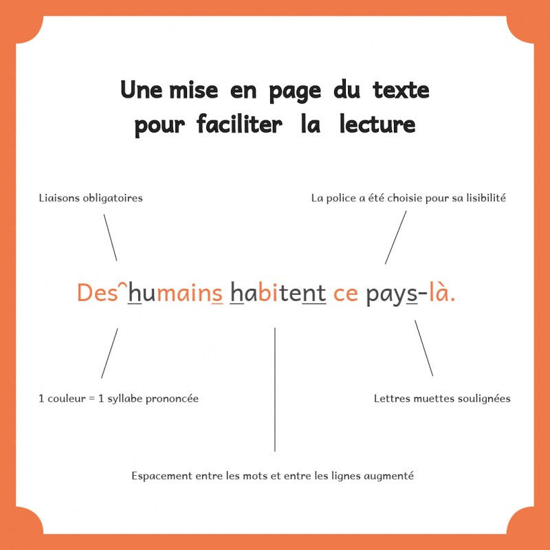 Graines de montagne - Dyslexie - Dès 5 ans Dyslexie et concentration La family shop