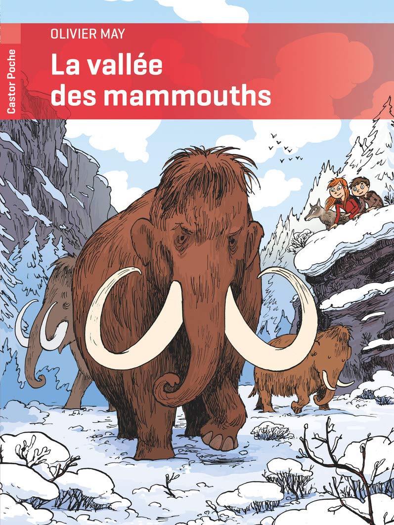 Les enfants de la Louve - T3 - La vallée des mammouths Livres OLF