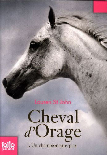 Cheval d'orage - Tome 1: Un champion sans prix Livres La Family Shop