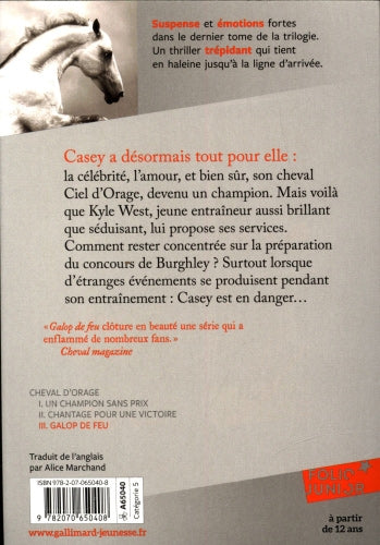 Cheval d'orage - Tome 3: Galop de jeu Livres La Family Shop