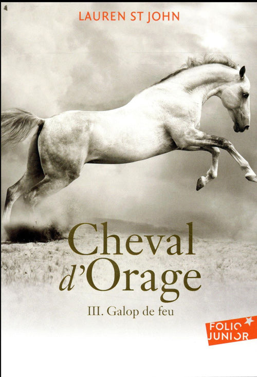 Cheval d'orage - Tome 3: Galop de jeu Livres La Family Shop