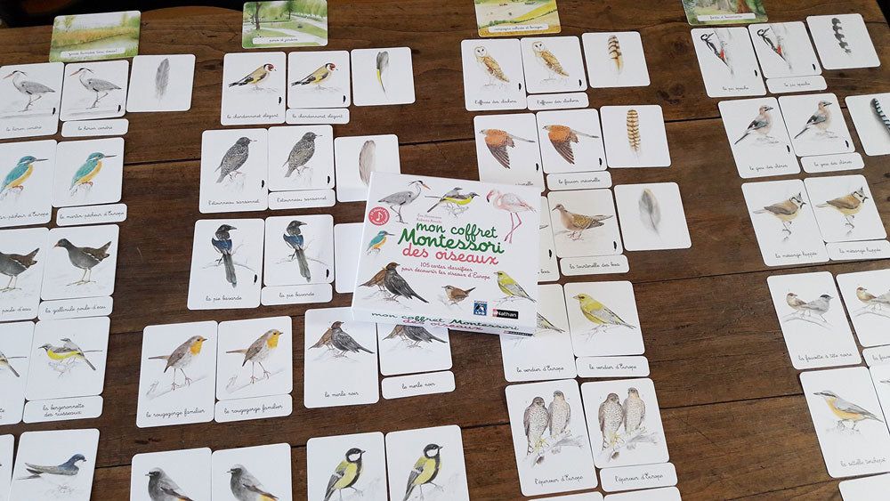 Mon coffret Montessori des oiseaux Montessori & Steiner La family shop