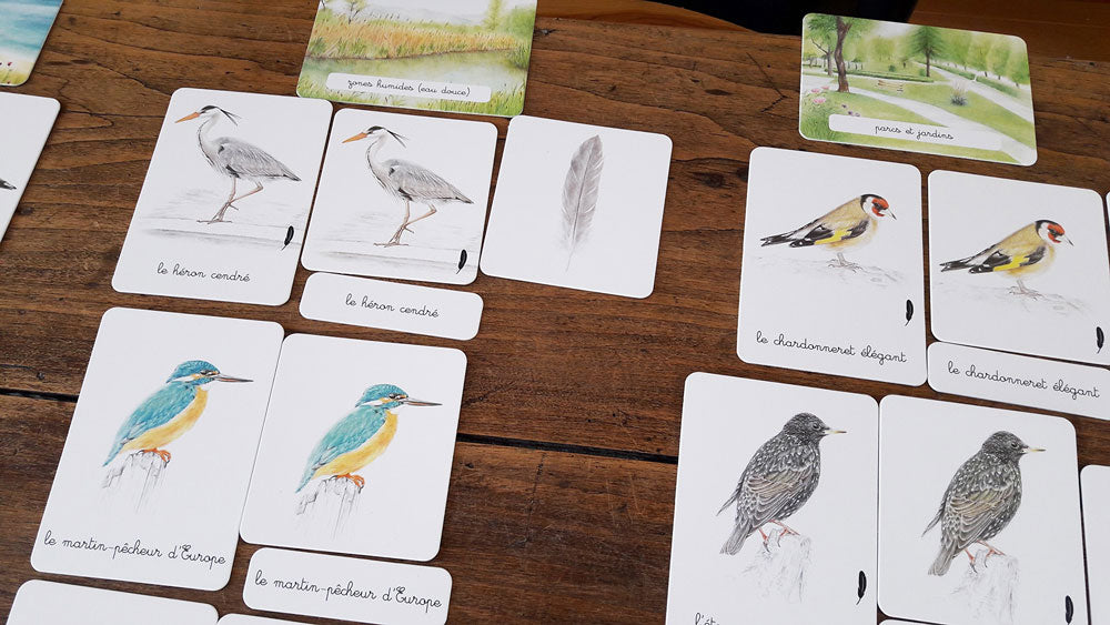 Mon coffret Montessori des oiseaux Montessori & Steiner La family shop