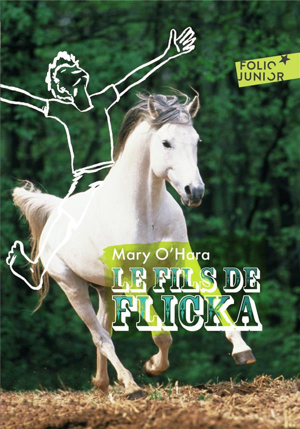 Le fils de Flicka Livres La Family Shop