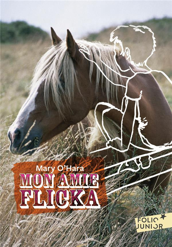 Mon amie Flicka Livres La Family Shop