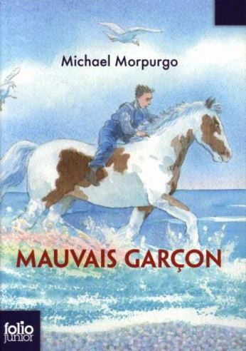 Mauvais garçon Livres La Family Shop
