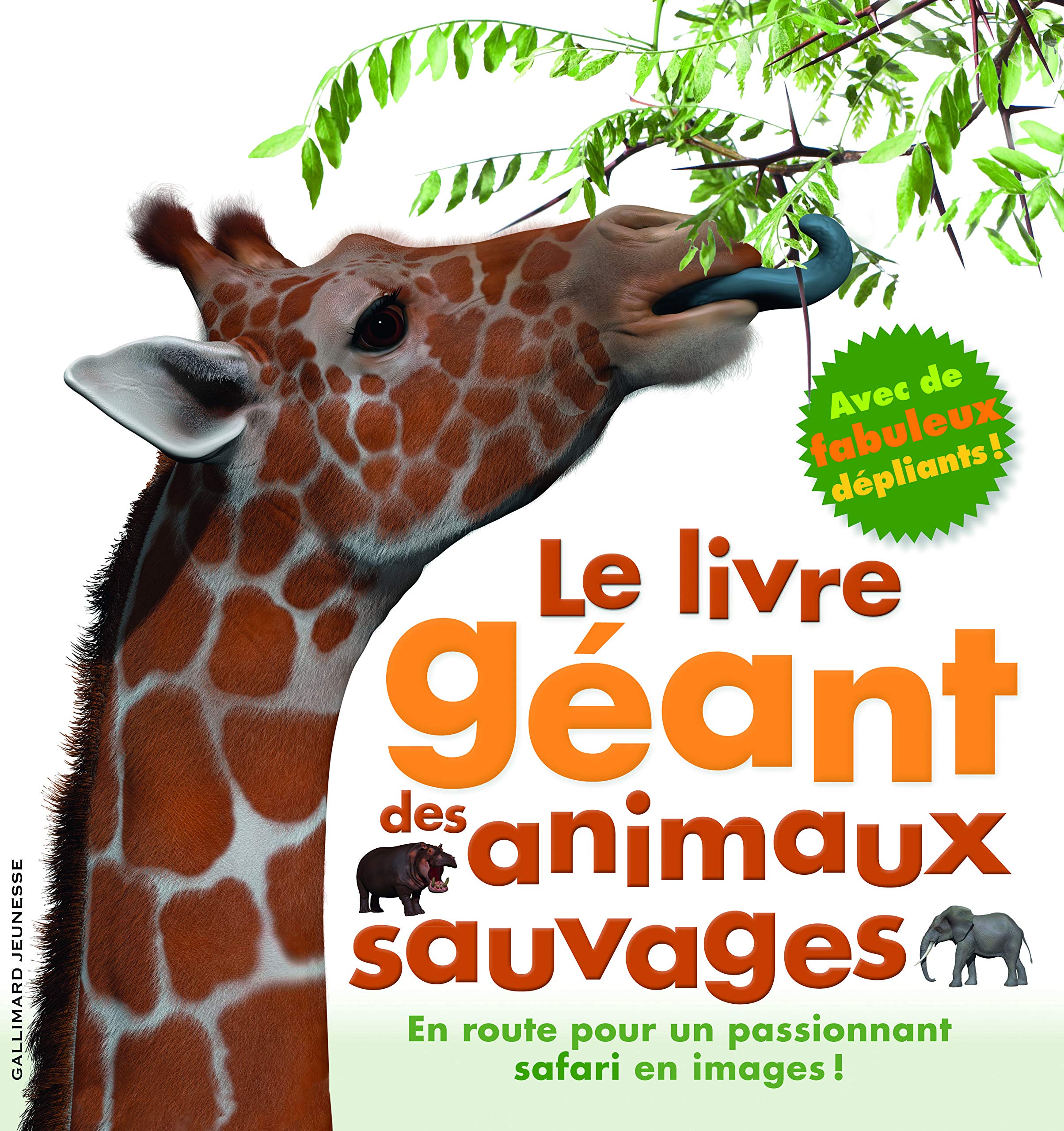 Le livre GEANT des animaux sauvages Livres La family shop