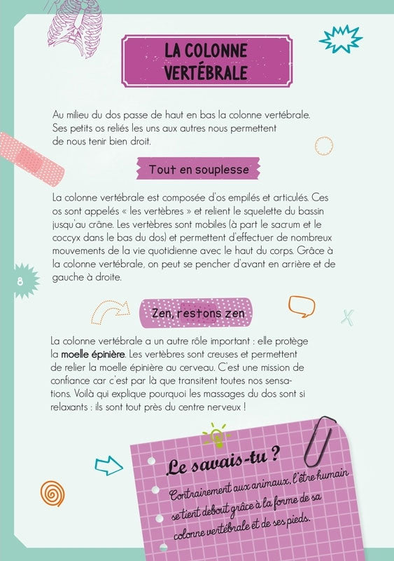 Coffret : A la découverte du corps humain - Dès 6 ans Jeux & loisirs créatifs olf