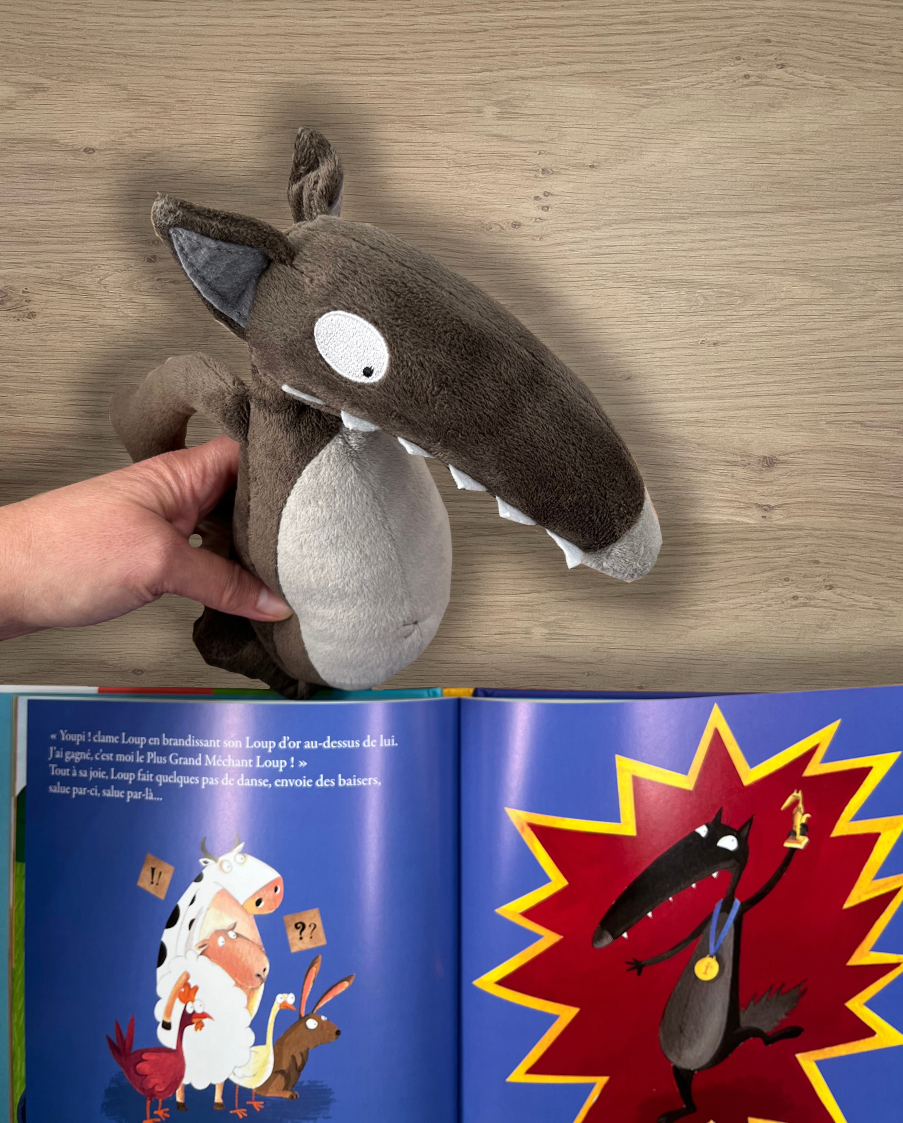 Coffret Loup: mes plus belles histoires de Loup Livres La family shop