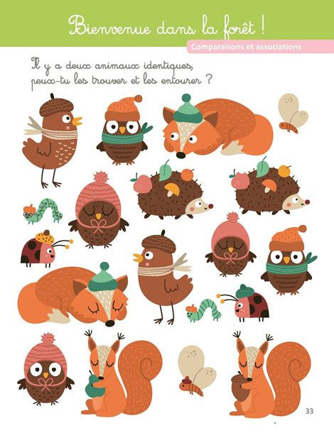 Mon grand cahier Montessori spécial concentration, attention, mémoire - 3-6 ans Montessori & Steiner OLF