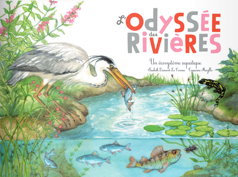 L’Odyssée des rivières: un écosystème aquatique Livres La family shop