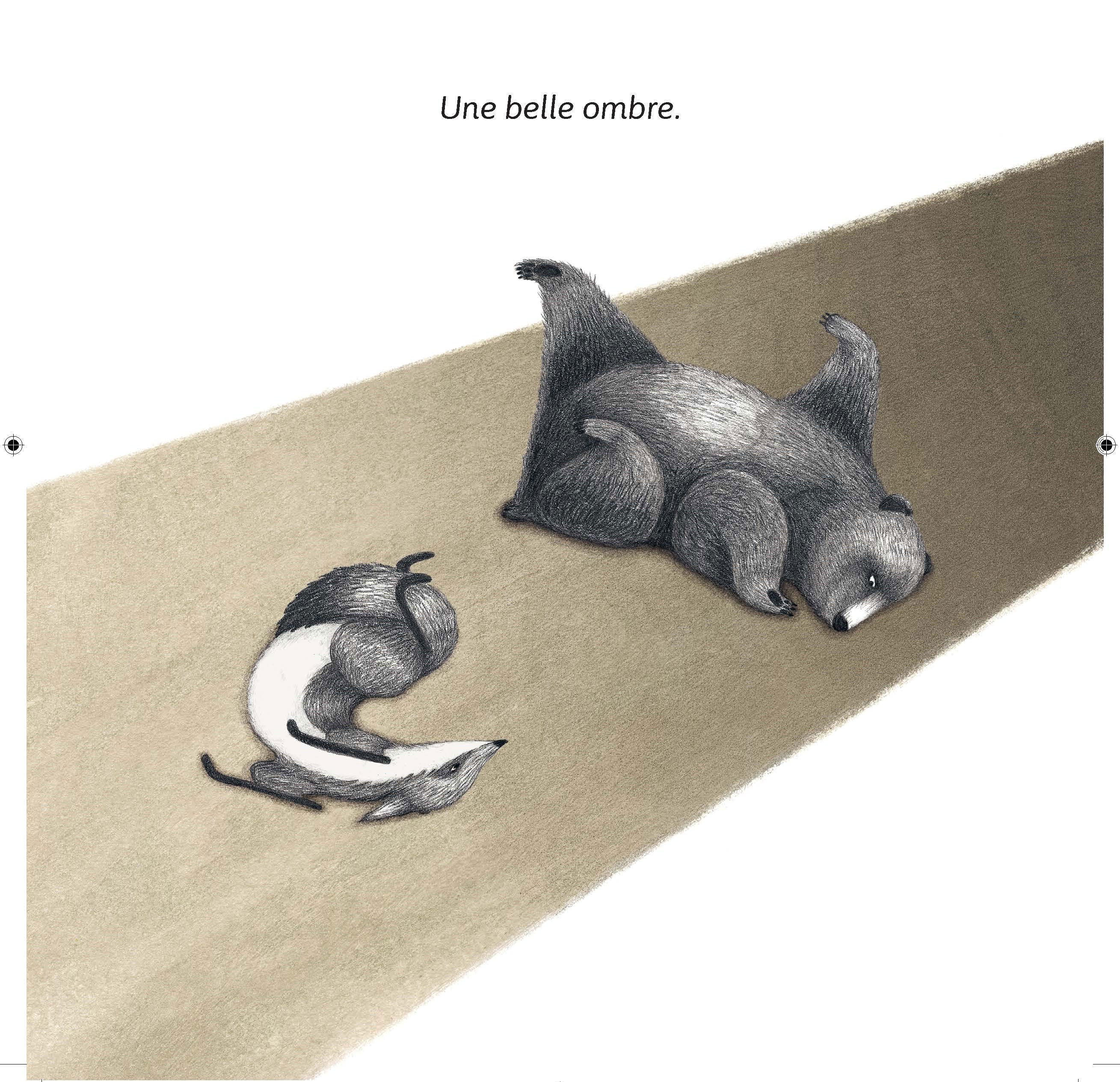 Une ombre - album enfant sur l'imagination Livres Servidis