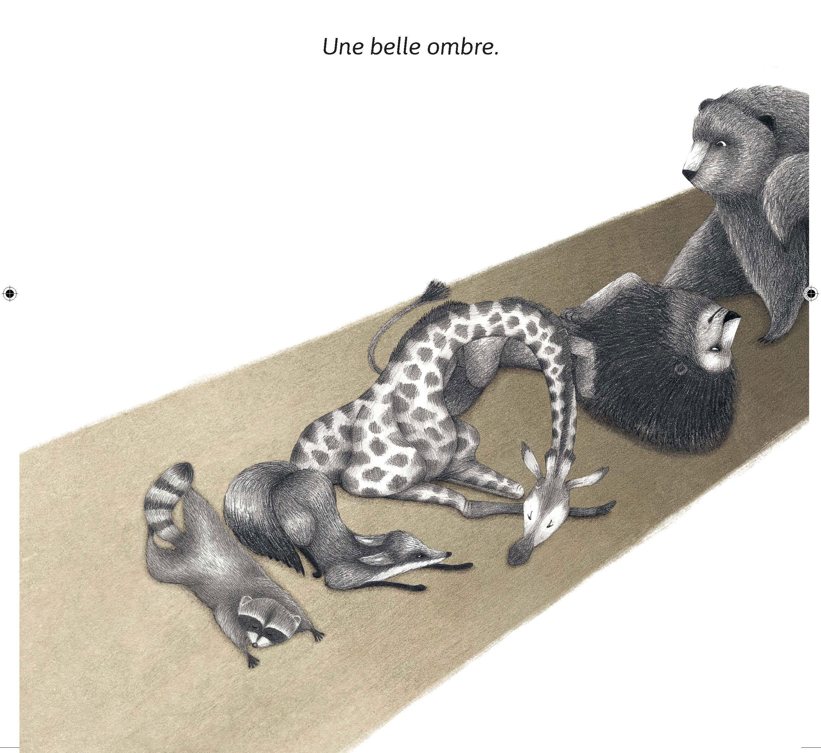 Une ombre - album enfant sur l'imagination Livres Servidis