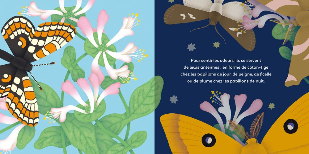 Les p'tits papillons - album Livres La family shop