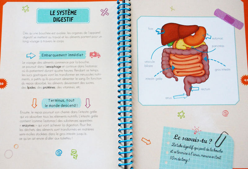 Coffret : A la découverte du corps humain - Dès 6 ans Jeux & loisirs créatifs olf