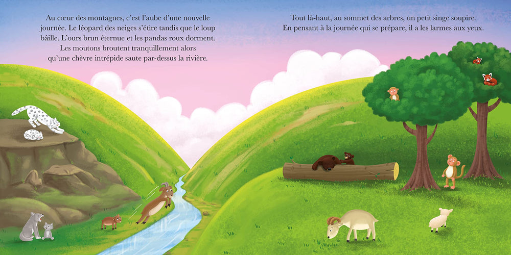 Singe est triste - album sur la tristesse dès 3 ans Livres La family shop