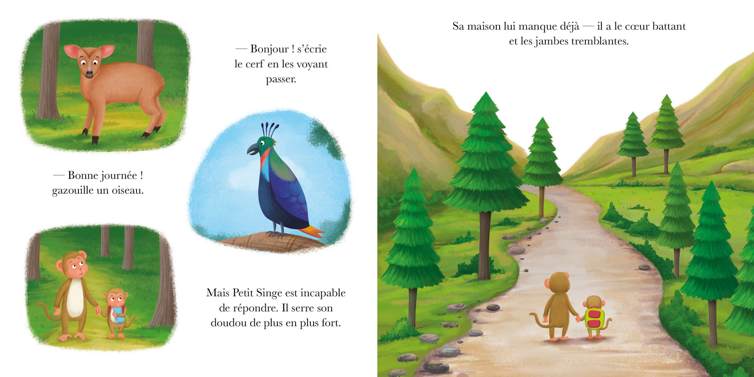 Singe est triste - album sur la tristesse dès 3 ans Livres La family shop