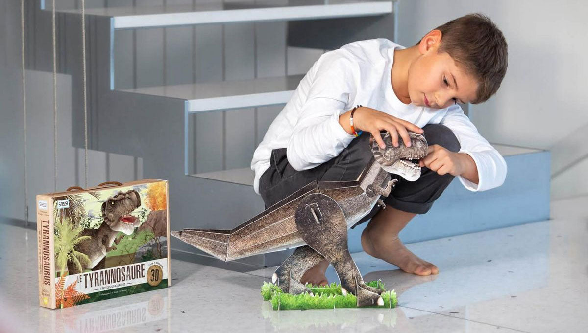 Coffret Le Tyrannosaure 3D! L'ère des dinosaures Jeux & loisirs créatifs La family shop