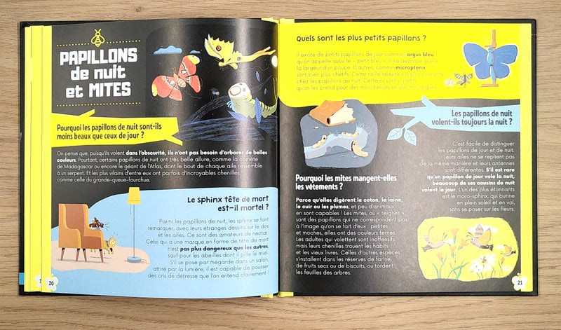 Insectes et petites bêtes - Dès 6 ans Livres La family shop   