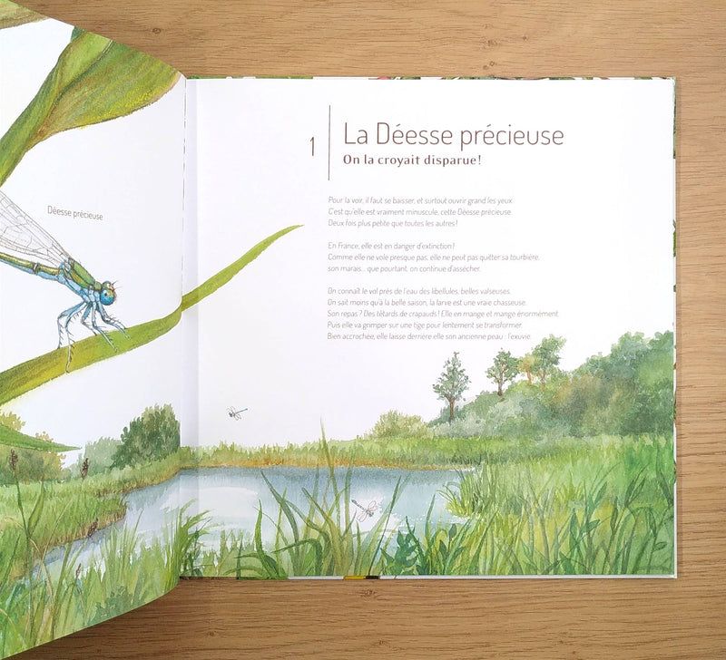 Les insectes : 21 petites histoires naturelles - Enfants dès 5 ans Livres La family shop   