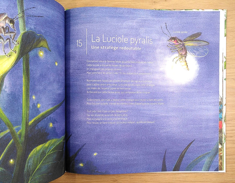 Les insectes : 21 petites histoires naturelles - Enfants dès 5 ans Livres La family shop   