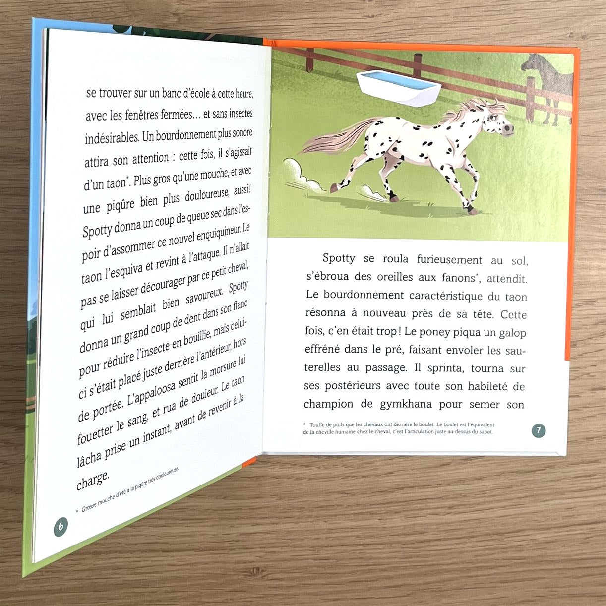 Les chevaux d'Avenches - T2: frayeur au haras Livres OLF   