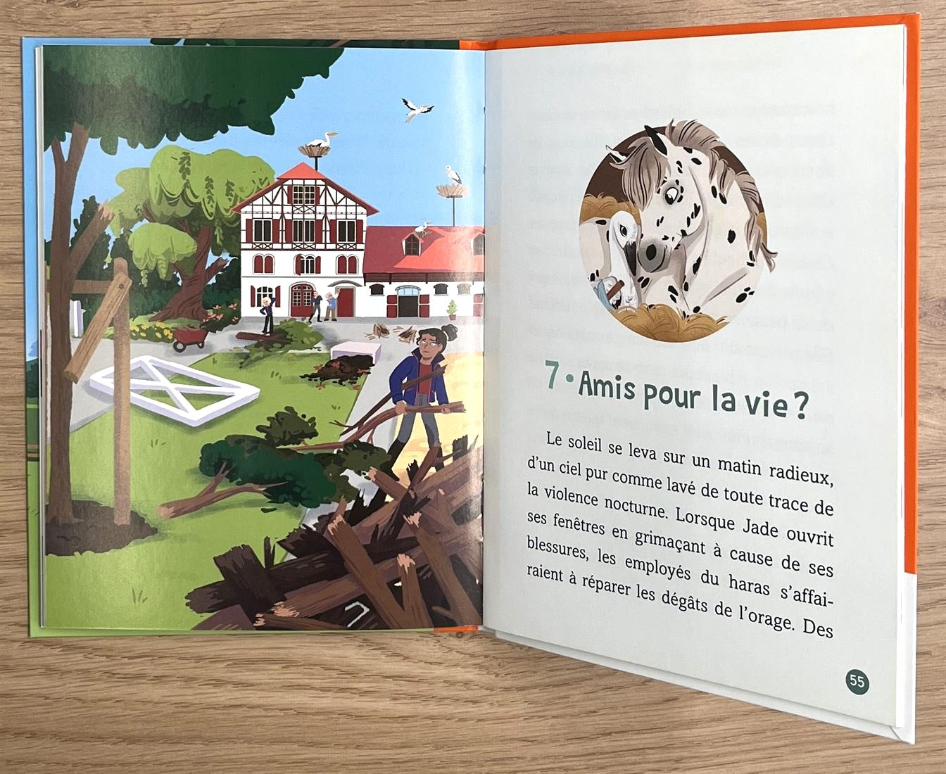 Les chevaux d'Avenches - T2: frayeur au haras Livres OLF   