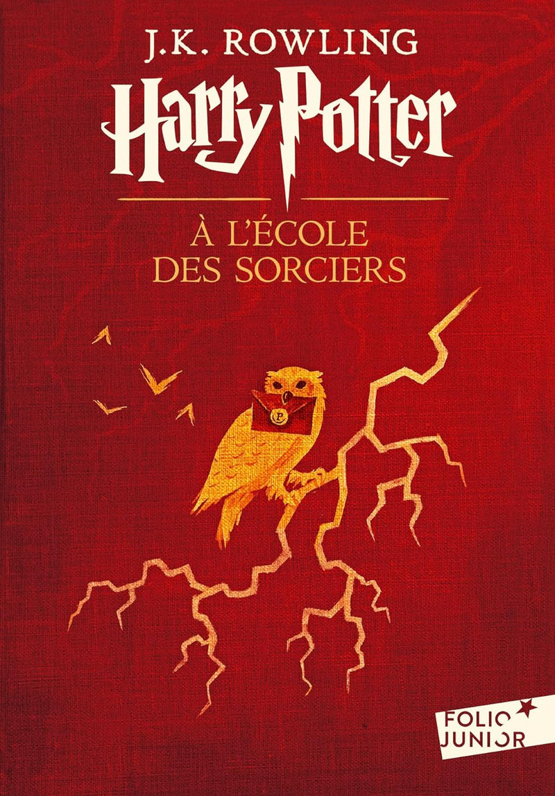 Harry Potter à l'école des sorciers - T1 Livres La family shop   
