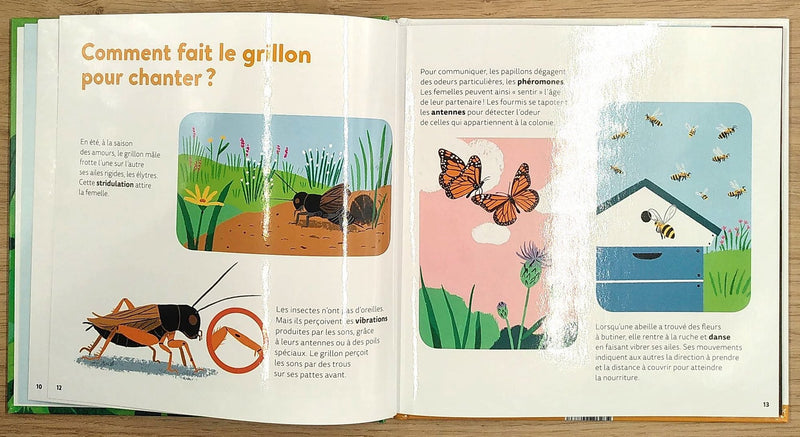 Les Insectes - Dès 7 ans Livres La family shop   