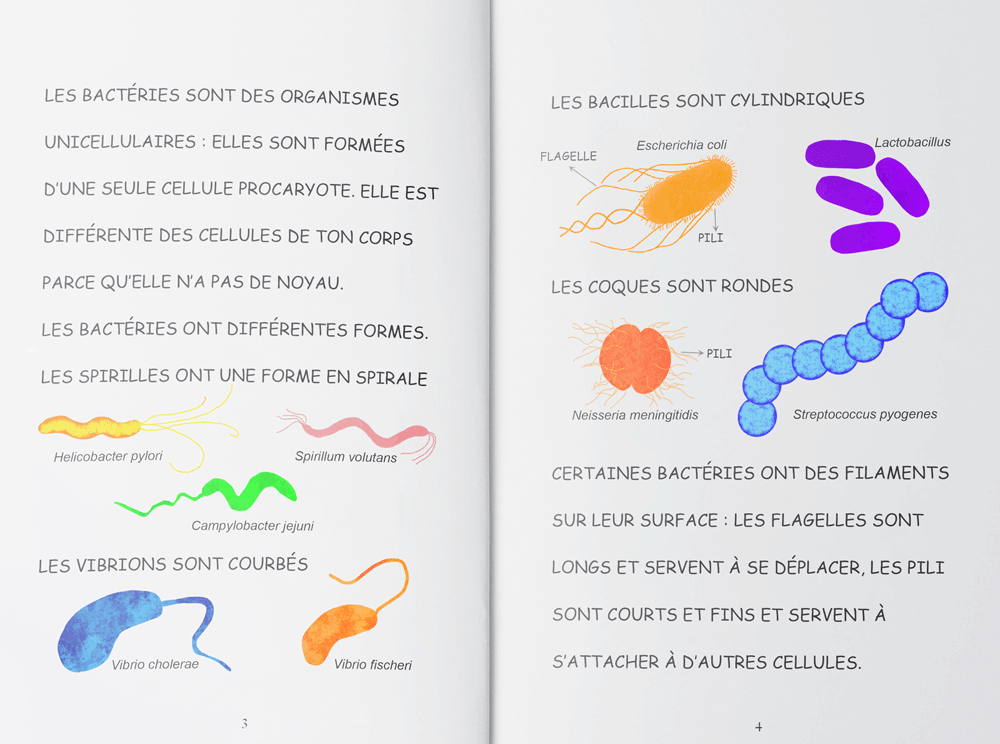 Les micros-organismes - un livre de science de 3 à 9 ans