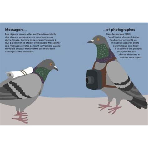 Ornithorama, le monde passionnant des oiseaux - Dès 6 ans Livres OLF