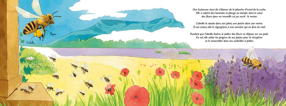 Au royaume des abeilles Livres OLF