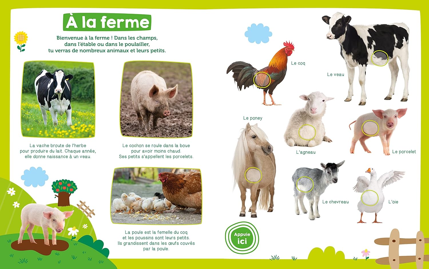 Mon imagier sonore - les animaux livres La Family Shop