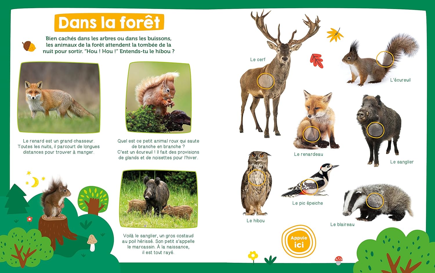 Mon imagier sonore - les animaux livres La Family Shop