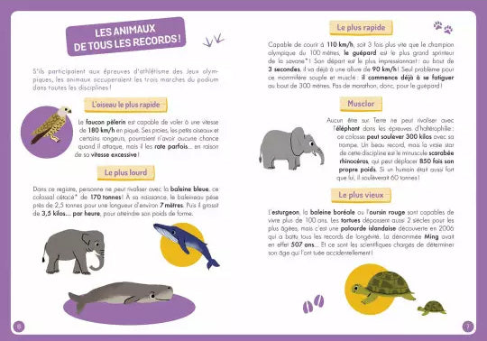 Coffret: à la découverte des animaux du monde - 7 ans Jeux & loisirs créatifs La family shop